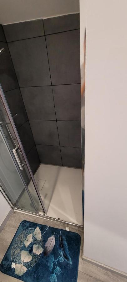 Appartement Proche Futuroscope Saint-Julien-l'Ars Εξωτερικό φωτογραφία